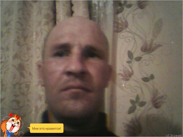  ,   , 46 ,   