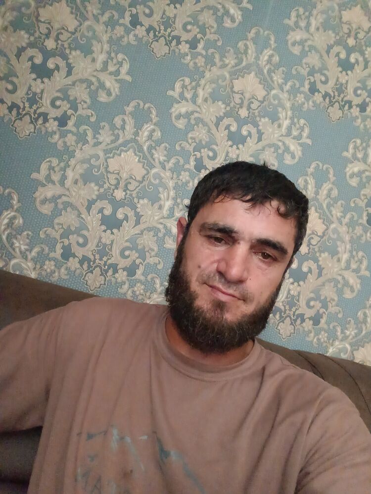  45536534  , 43 ,    
