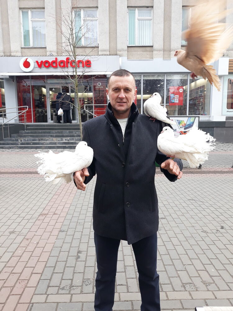  16198824  Vitalik, 41 ,    