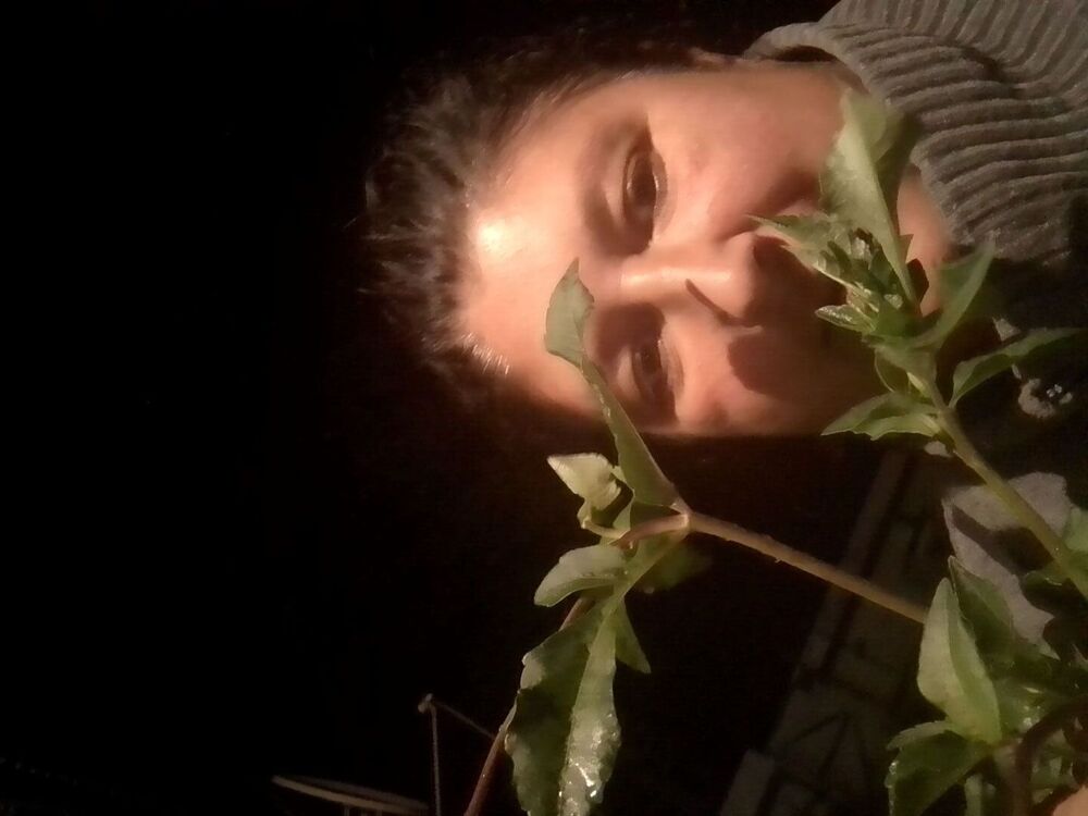 ���� 33483894 ������� ����������, 43 ����, ���� ���������� � ������