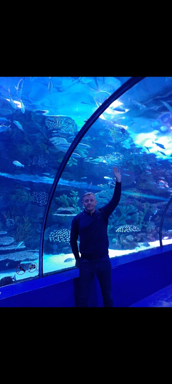 ���� 46240974 ������� �����, 41 ���, ���� ���������� � ������