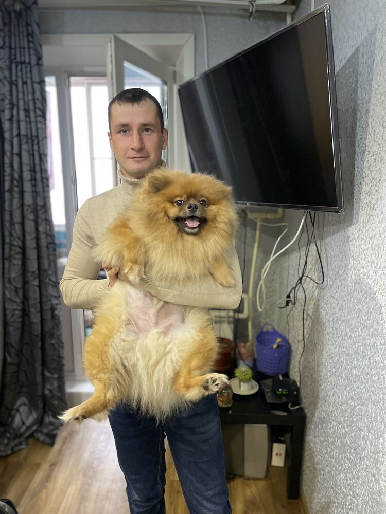 ���� 31814064 ������� �������, 32 ����, ���� ���������� � ������������