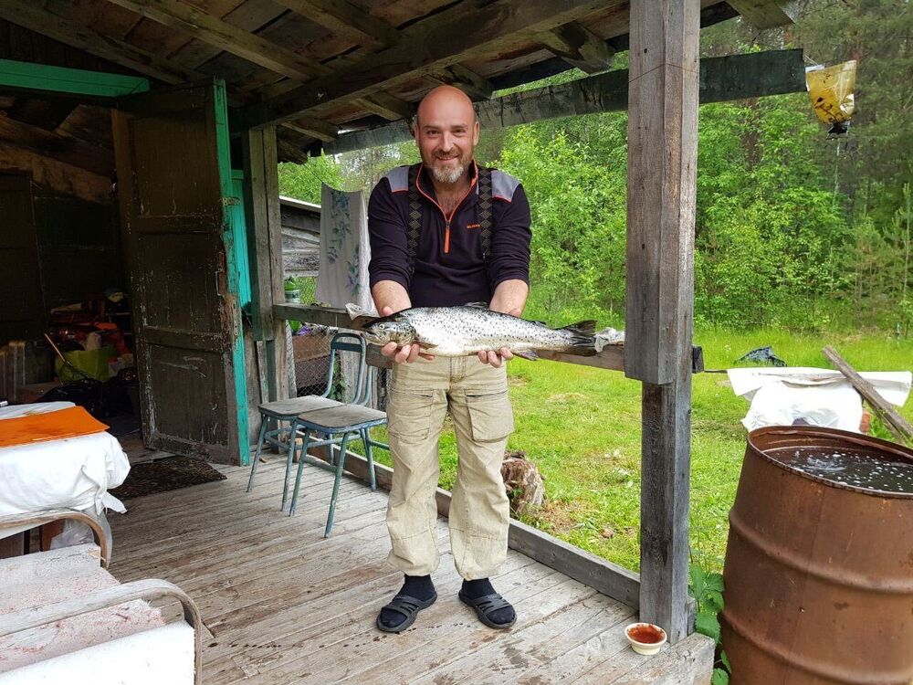 ���� 35780184 ������� ������, 50 ���, ���� ���������� � ������