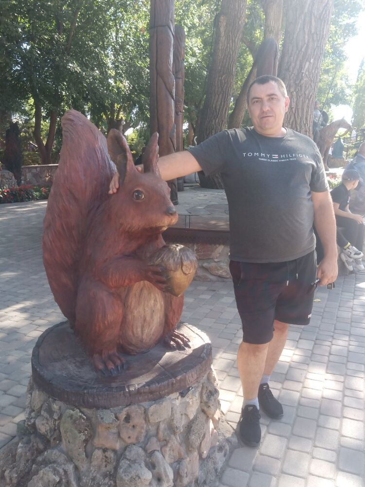 ���� 55308604 ������� ������, 45 ���, ���� ���������� � ���������