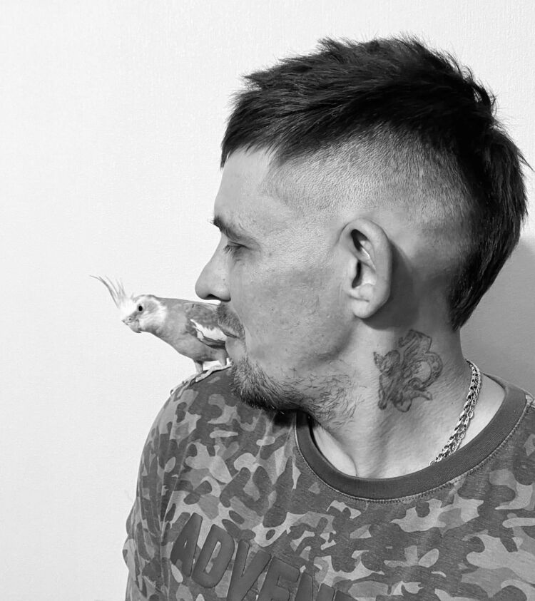  44656054  , 43 ,    -