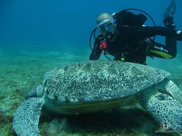 ���������� ������������, ���� ������� ������, 57 ���, ������������ ��� ����� � ���������