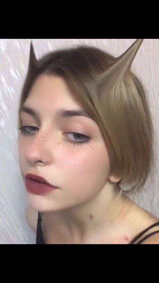  24611724  , 24 ,    