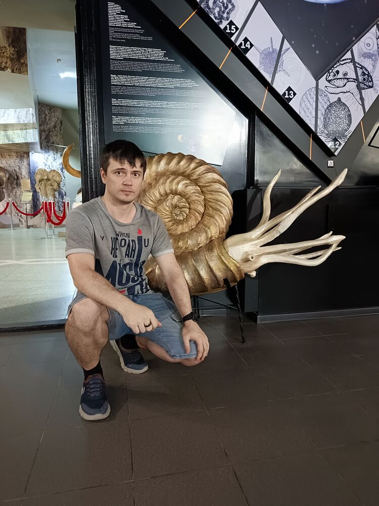  53641914  , 33 ,    --