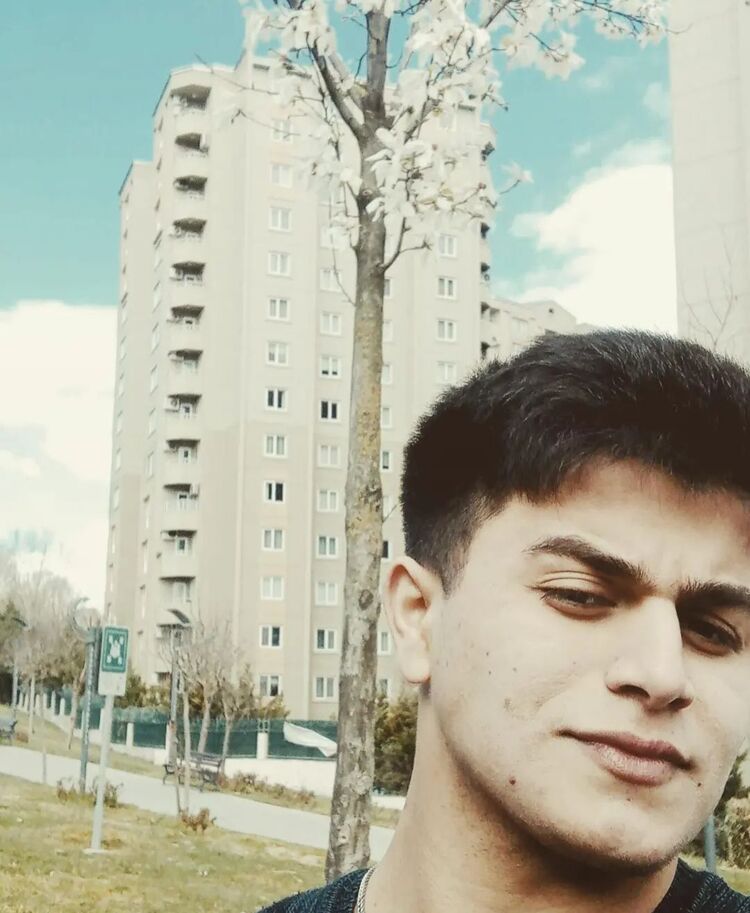  31622614  , 29 ,    