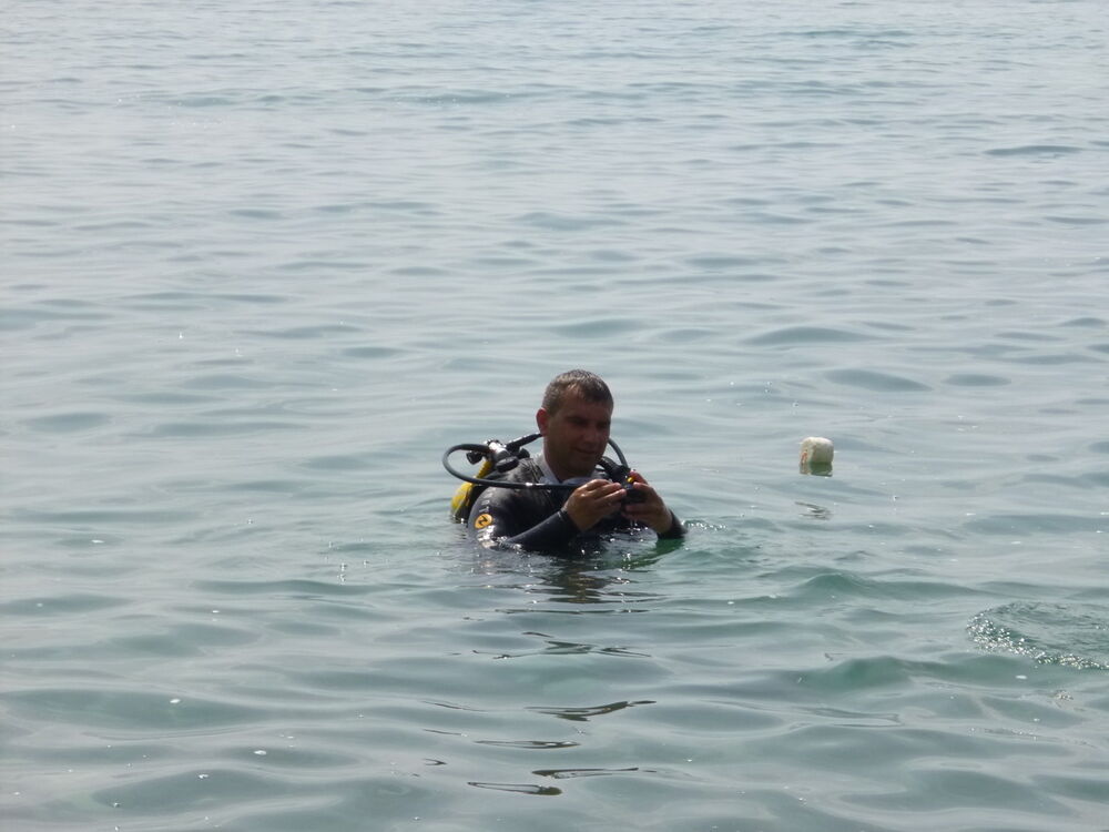 ���� 4237544 ������� ����, 51 ���, ���� ���������� � ����������