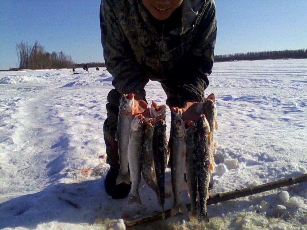 ���������� ����������, ���� ������� ����, 34 ����, ������������ ��� ������, ����� � ���������, c�������� ���������, ���������