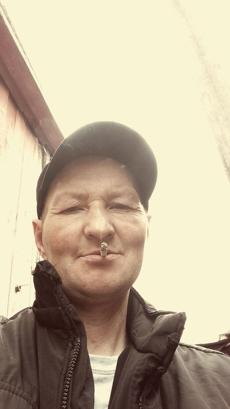  51464734  , 44 ,    