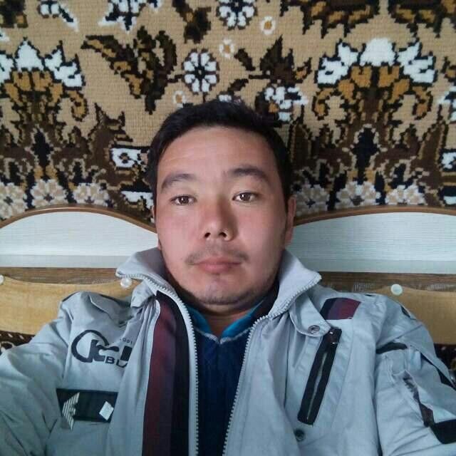  7378894  , 38 ,    
