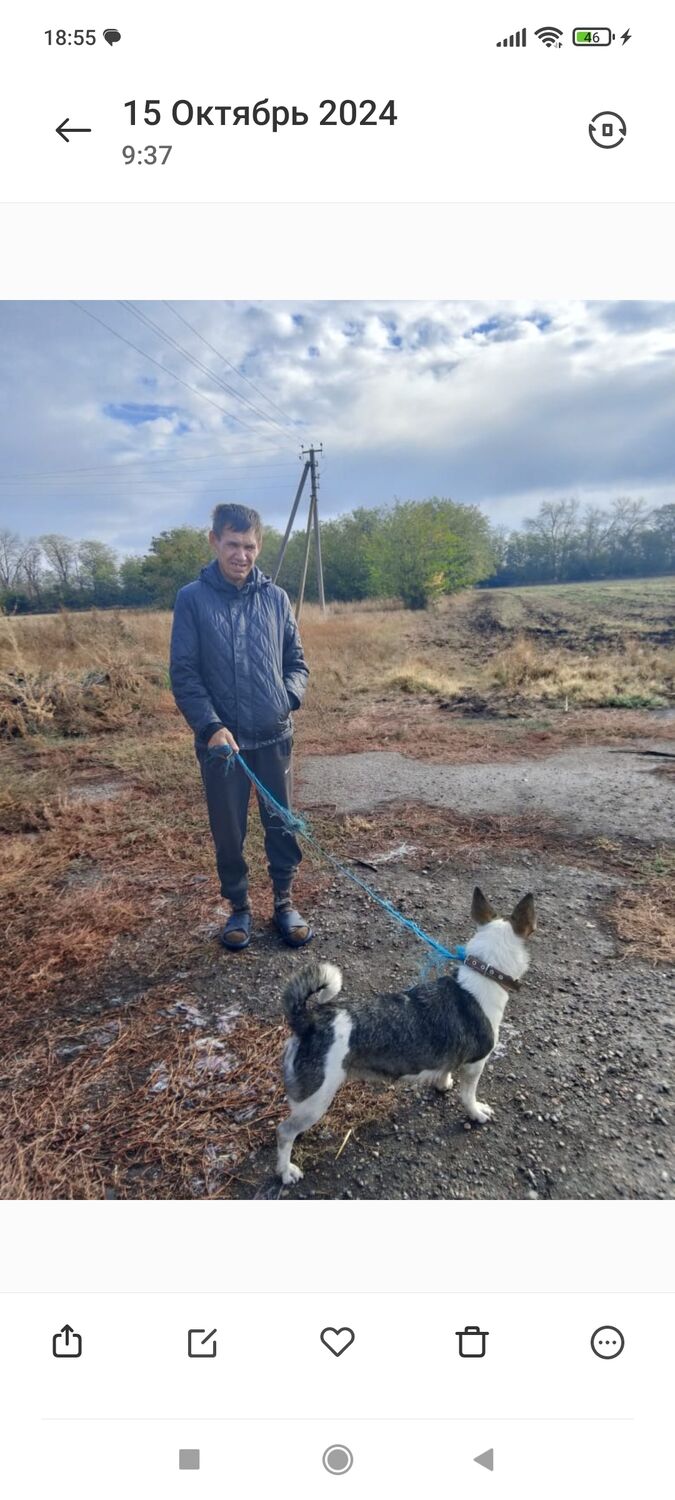 ���������� ����������, ���� ������� ������, 50 ���, ������������ ��� ������, ����� � ���������, c�������� ���������