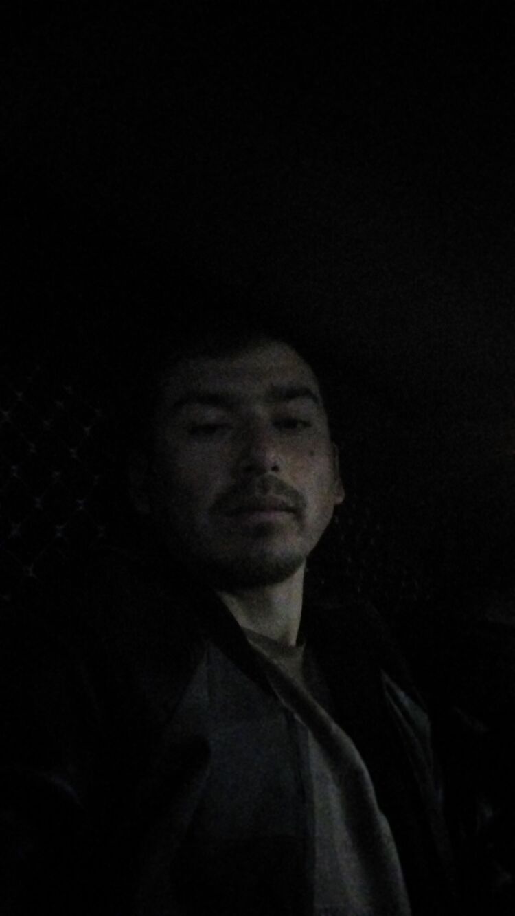  34169034  , 31 ,    