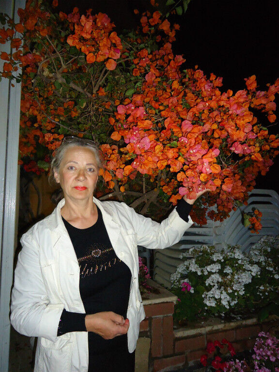 ���������� �������, ���� ������� ����, 69 ���, ������������ ��� c�������� ���������, ���������