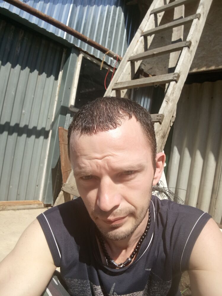  24672834  , 41 ,    
