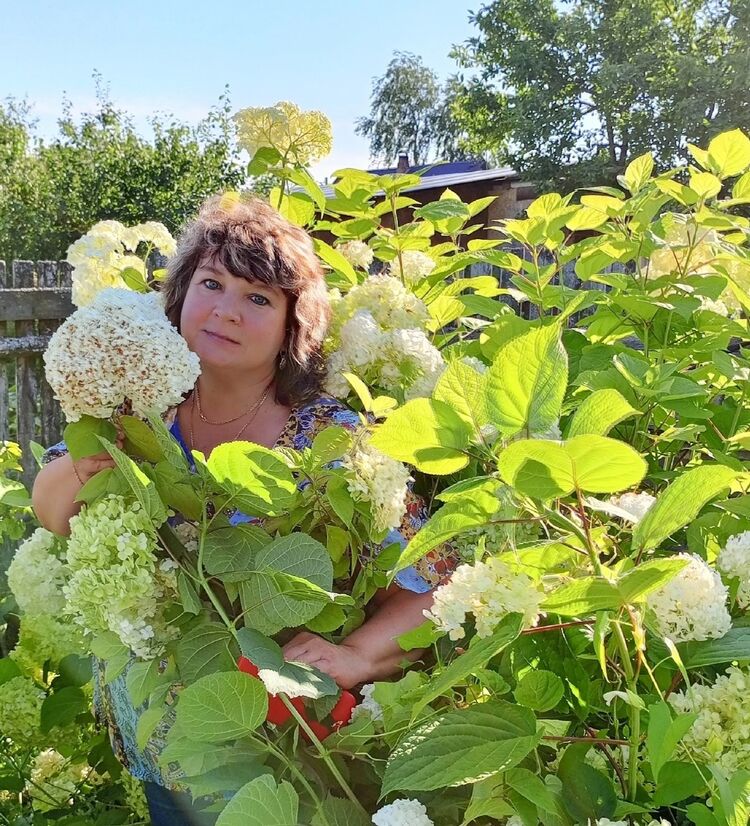 ���� 47191984 ������� ���������, 54 ����, ���� ���������� � ������