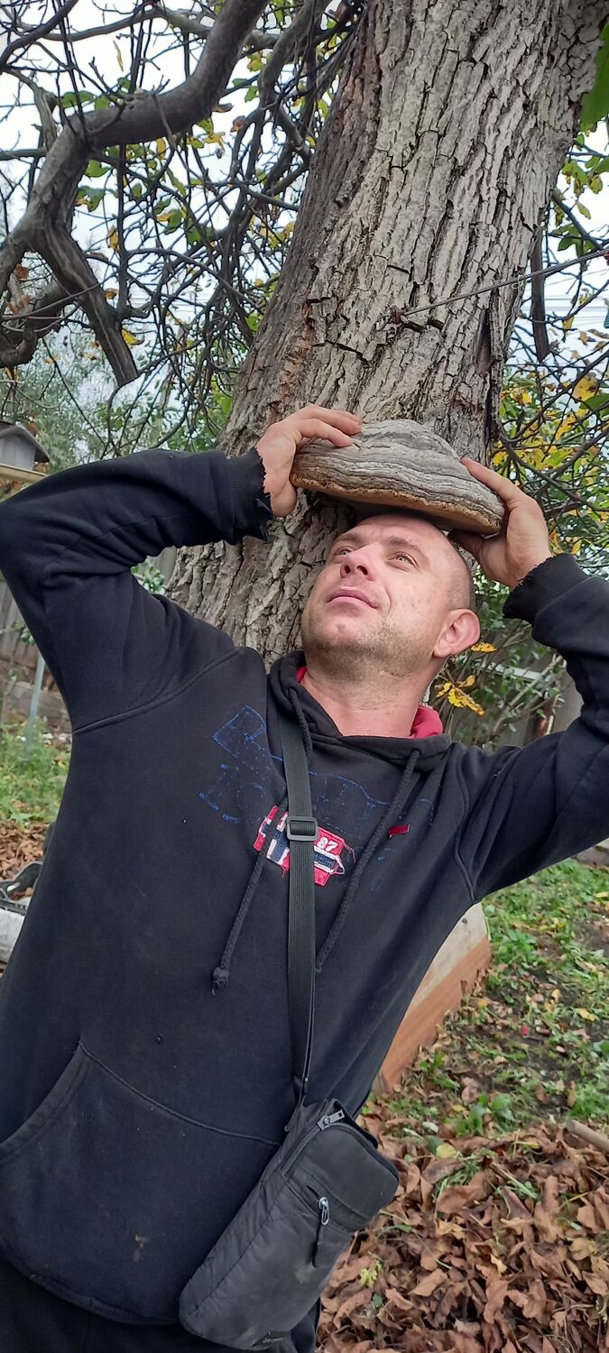  ,   , 38 ,   c 