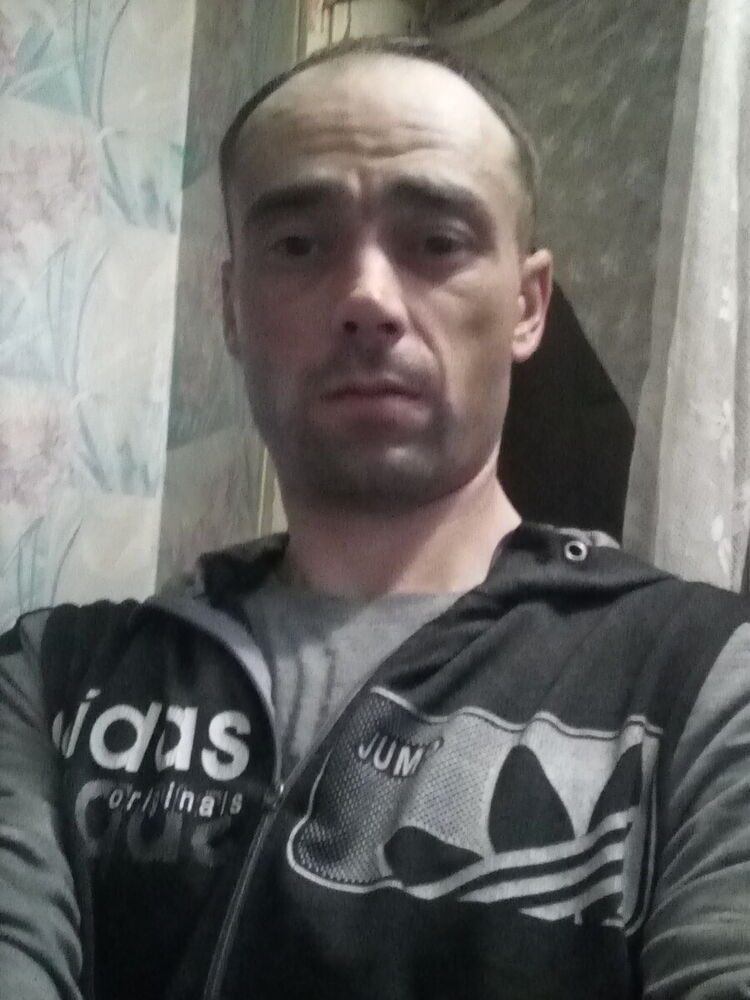  22496294  , 43 ,    