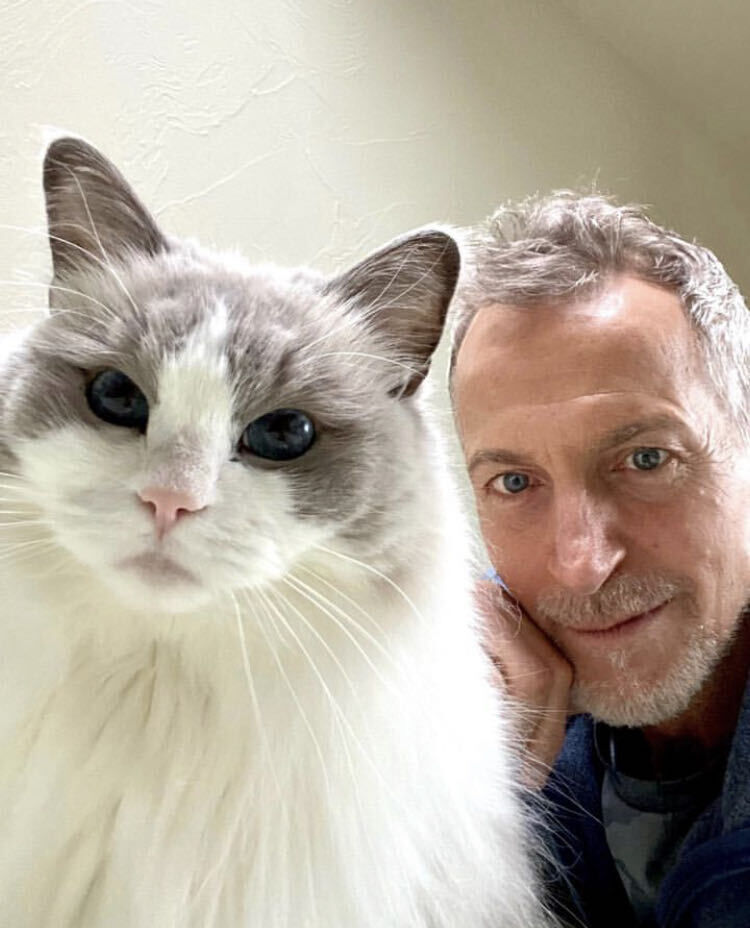 ���������� ������, ���� ������� Marshall, 48 ���, ������������ ��� ������, ����� � ���������, c�������� ���������, ���������