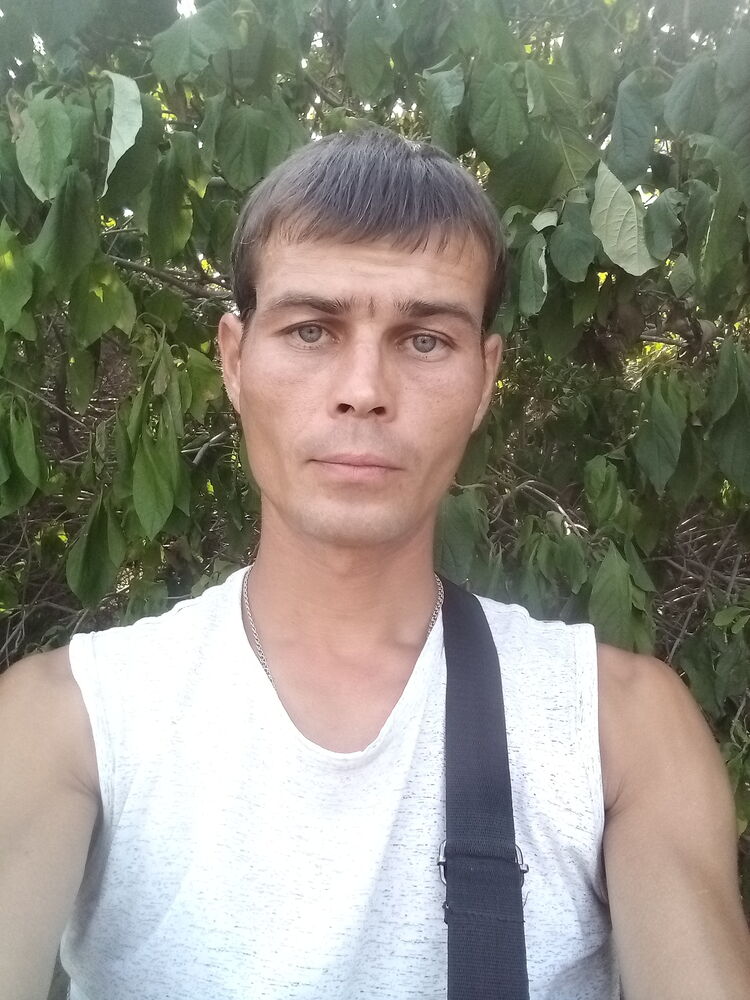 28410604  , 37 ,    