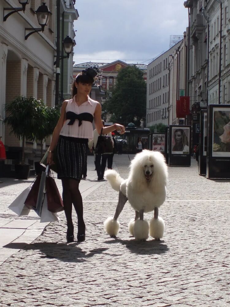  29309784  , 42 ,    -