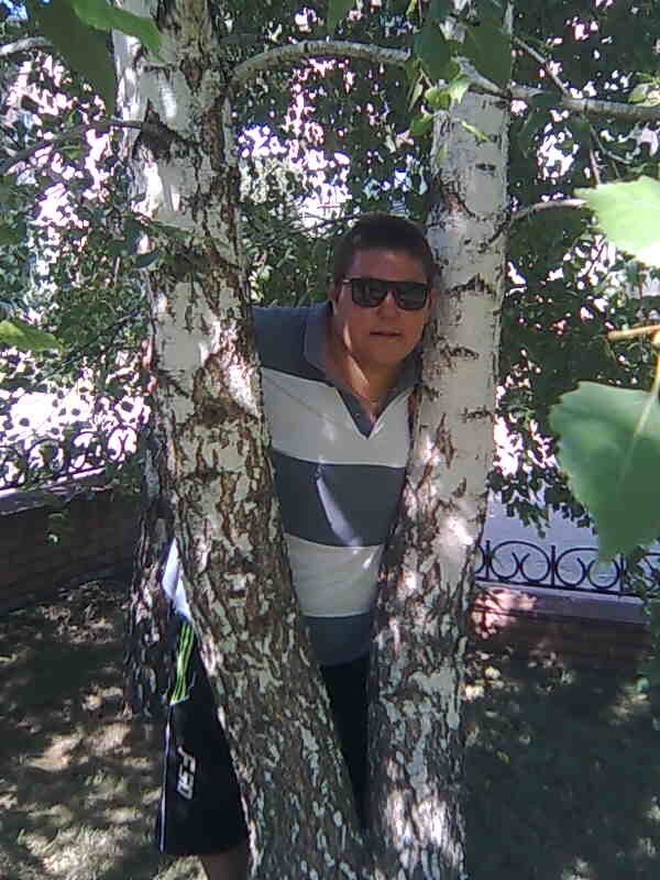   ,   , 28 ,     , c 