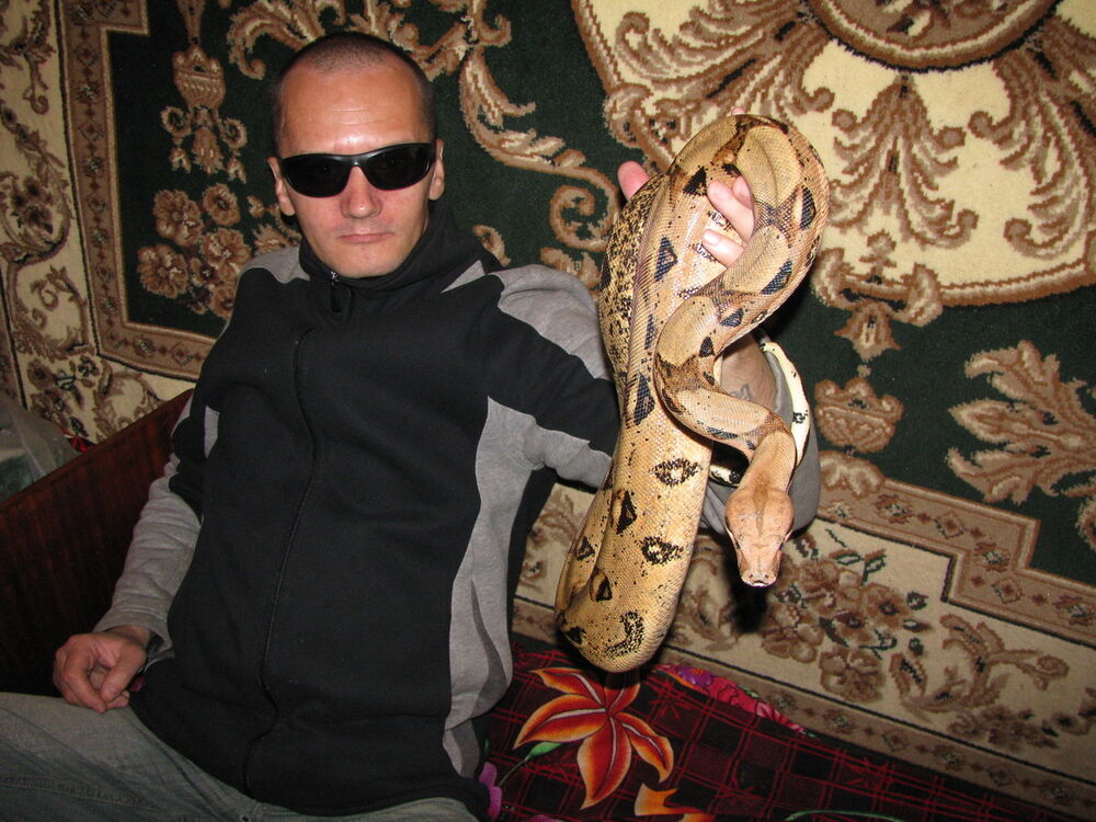  14827454  Andrey, 49 ,    Al Ghardaqah