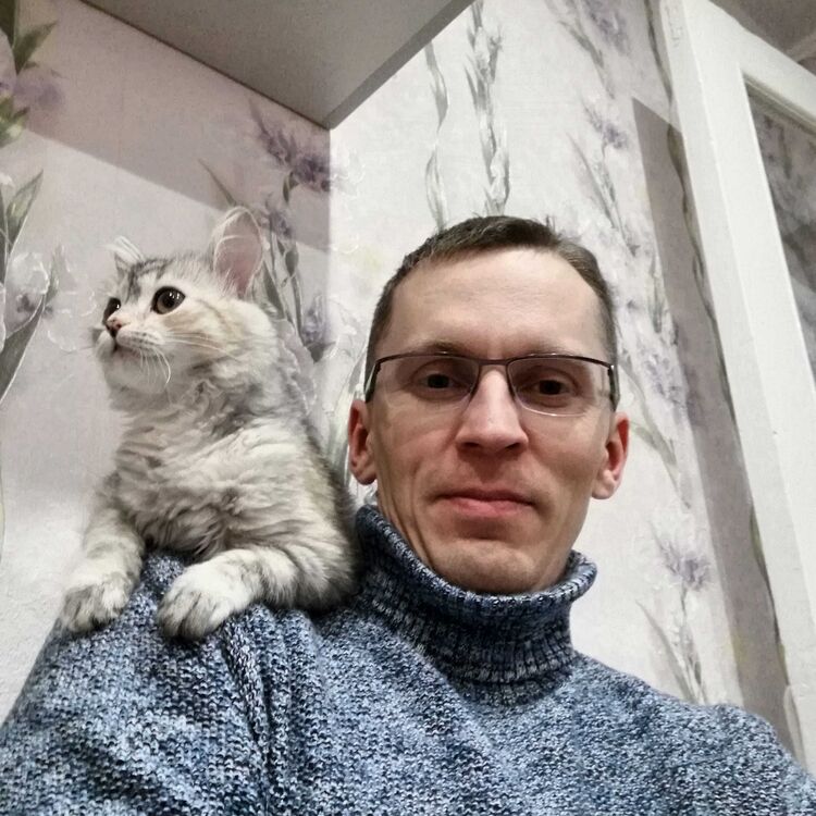 ���������� ������, ���� ������� �������, 41 ���, ������������ ��� ������, ����� � ���������, c�������� ���������