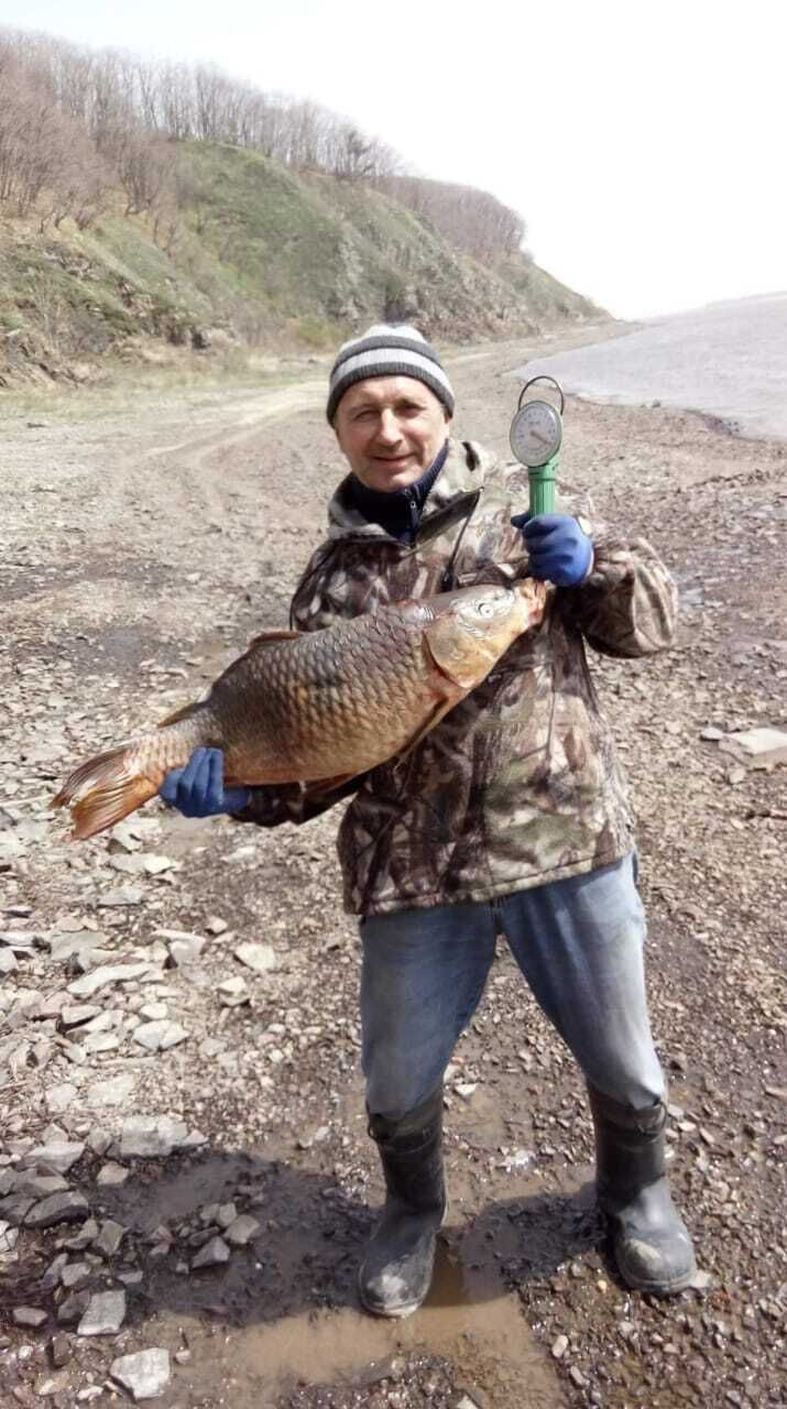  --,   , 66 ,   ,   