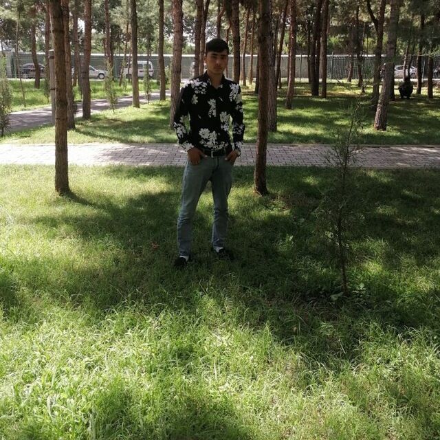  29587564  Otabek, 22 ,    