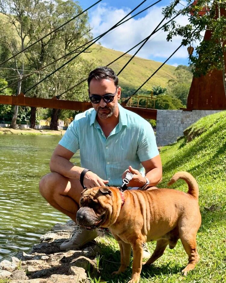 ���� 56276684 ������� �������, 38 ���, ���� ���������� � ������