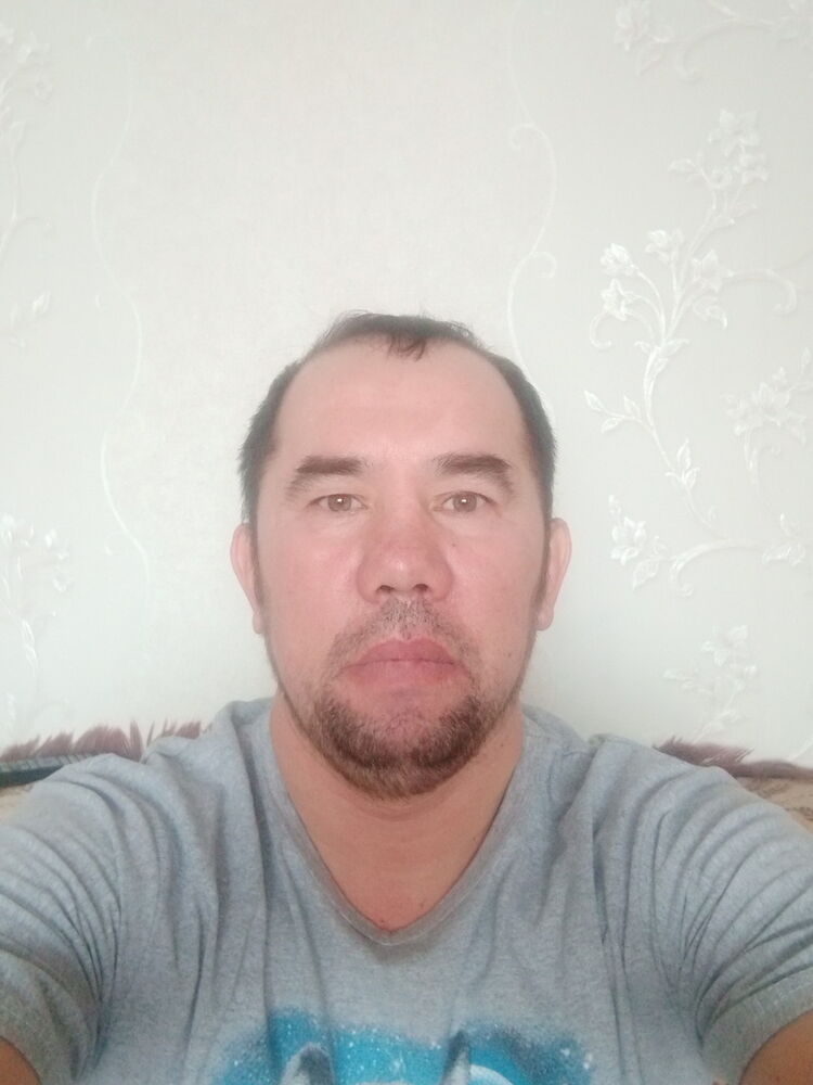  18241604  , 50 ,    