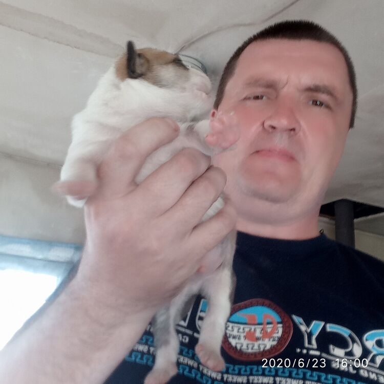  ,   , 48 ,  