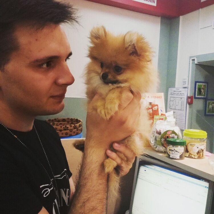 ���� 27969194 ������� ������, 29 ���, ���� ���������� � �����