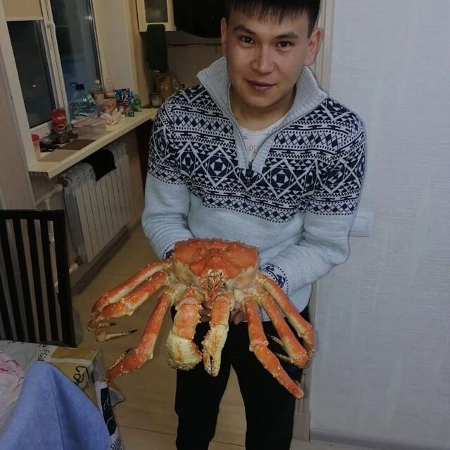 ���� 56190194 ������� ����, 35 ���, ���� ���������� � �����������