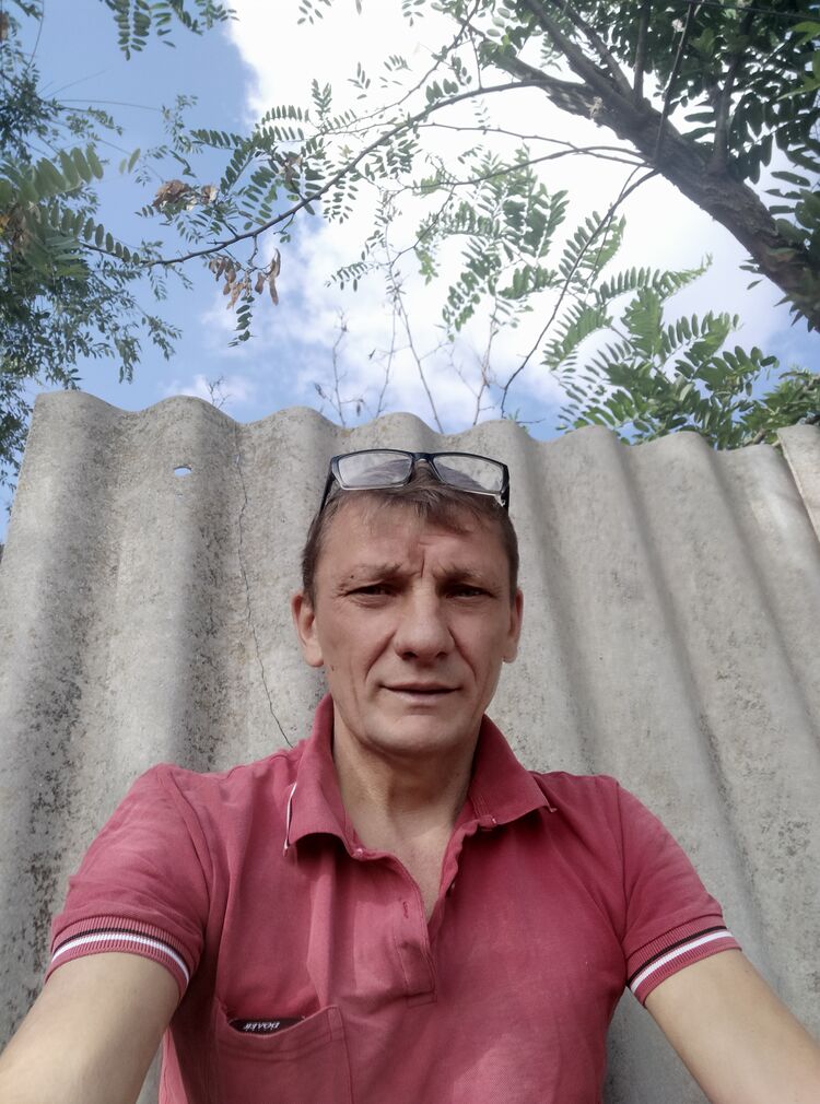  29590584  , 53 ,    