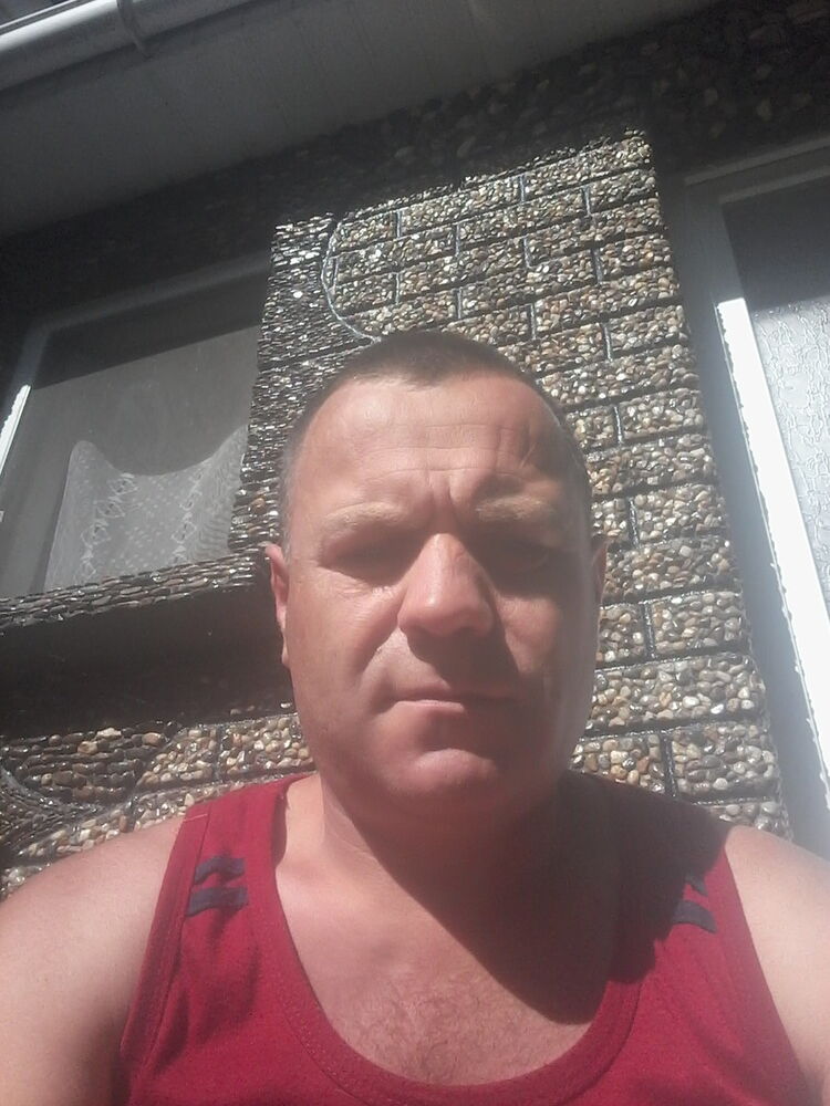  8128594  , 50 ,    