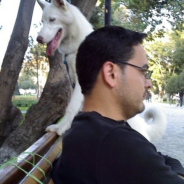 ���������� ����, ���� ������� Ilham, 47 ���, ������������ ��� ������, ����� � ���������, c�������� ���������