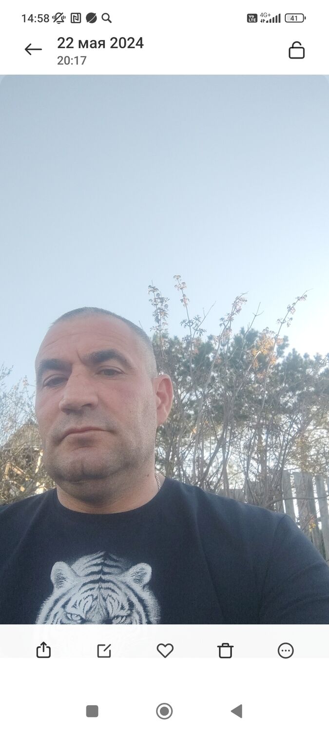  53265854  , 41 ,    