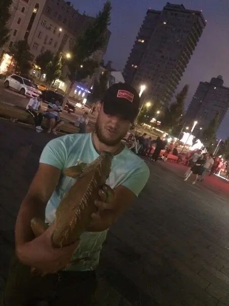  34671144  , 31 ,    