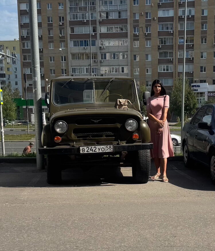  53403824  , 28 ,    
