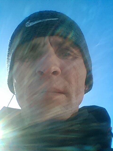 ���� 14908404 ������� �������, 44 ����, ���� ���������� � ��������