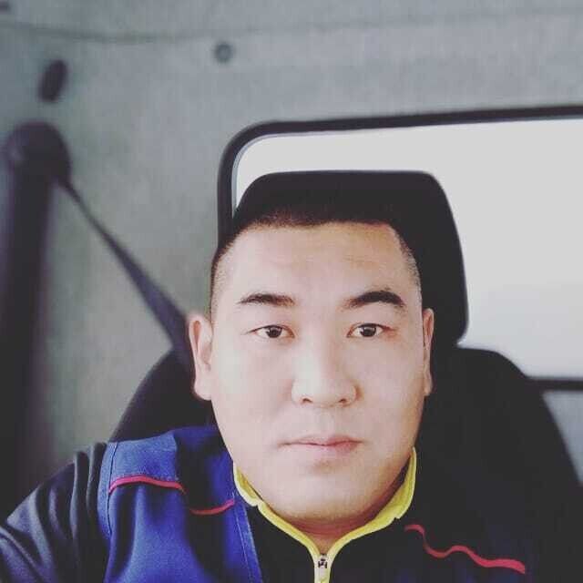 ���� 20495594 ������� ��������, 40 ���, ���� ���������� � ��������