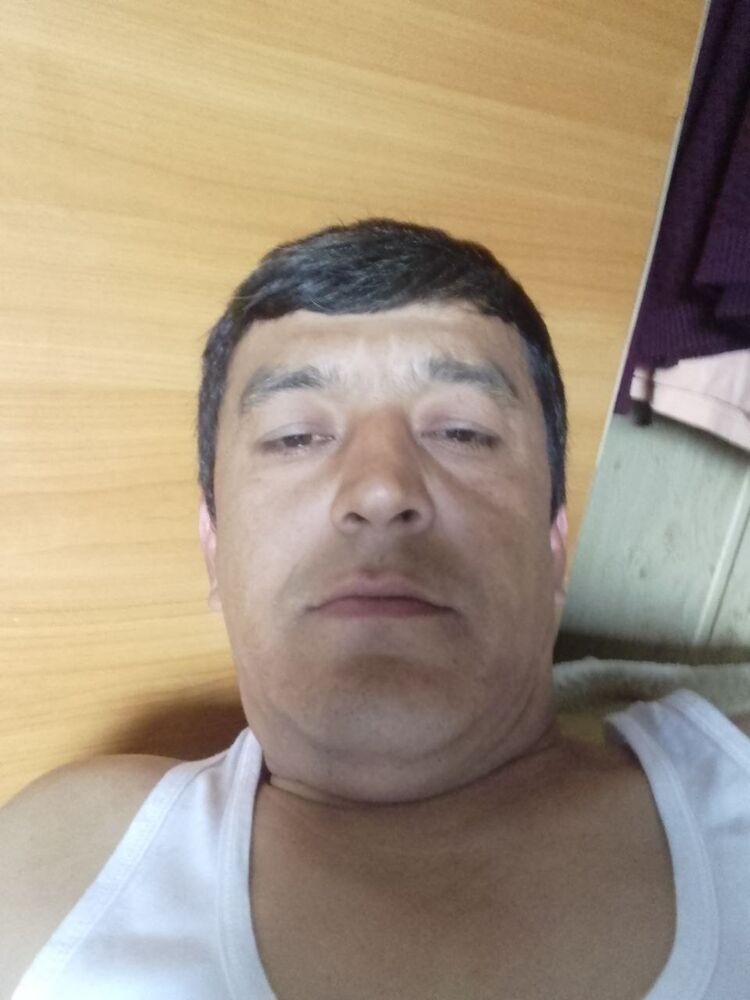  44070294  , 36 ,    