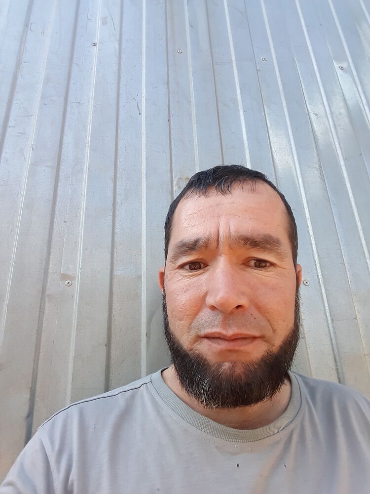  35679934  , 44 ,    