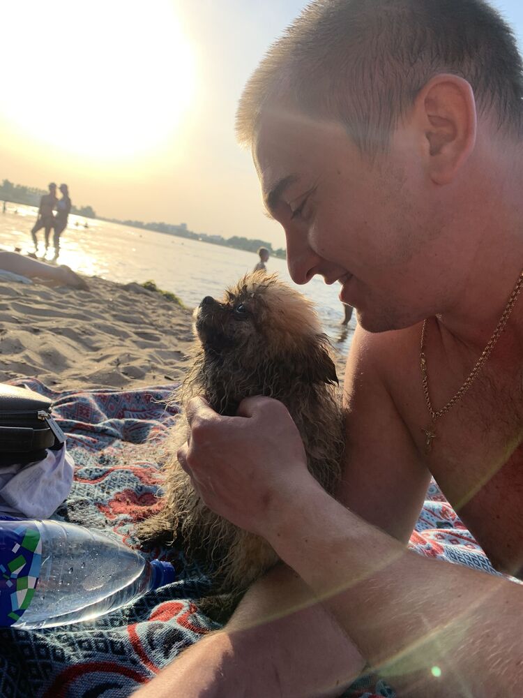 ���������� �����-���������, ���� ������� ����, 36 ���, ������������ ��� ������, ����� � ���������