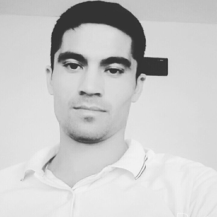  29515274  , 31 ,    