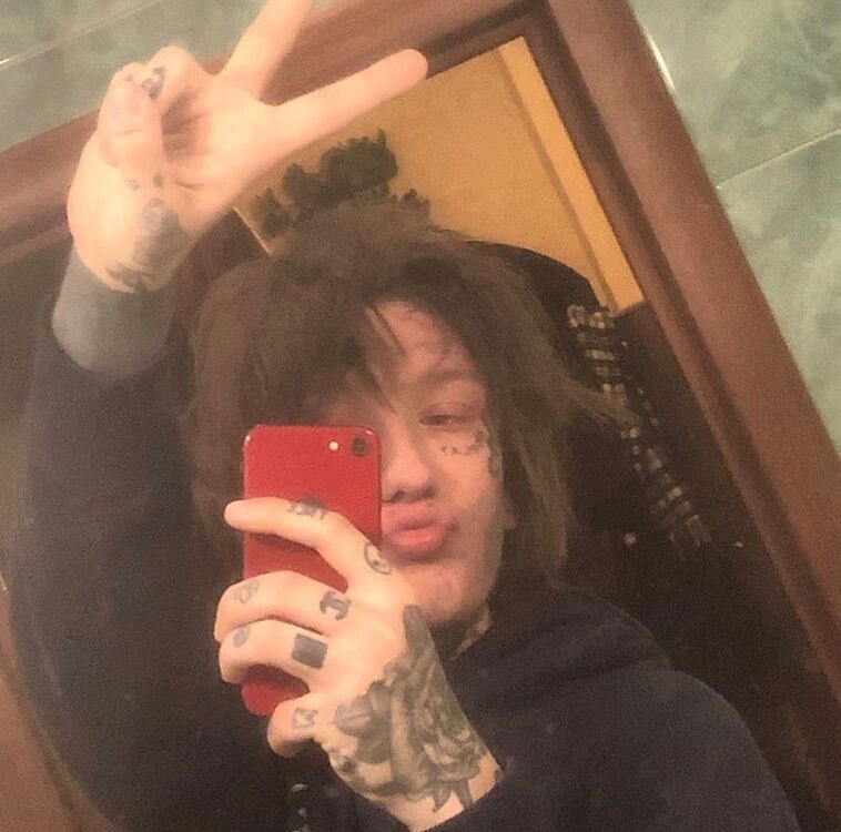 ���� 24973784 ����� ���������, 22 ����, ���� ���������� � ���������